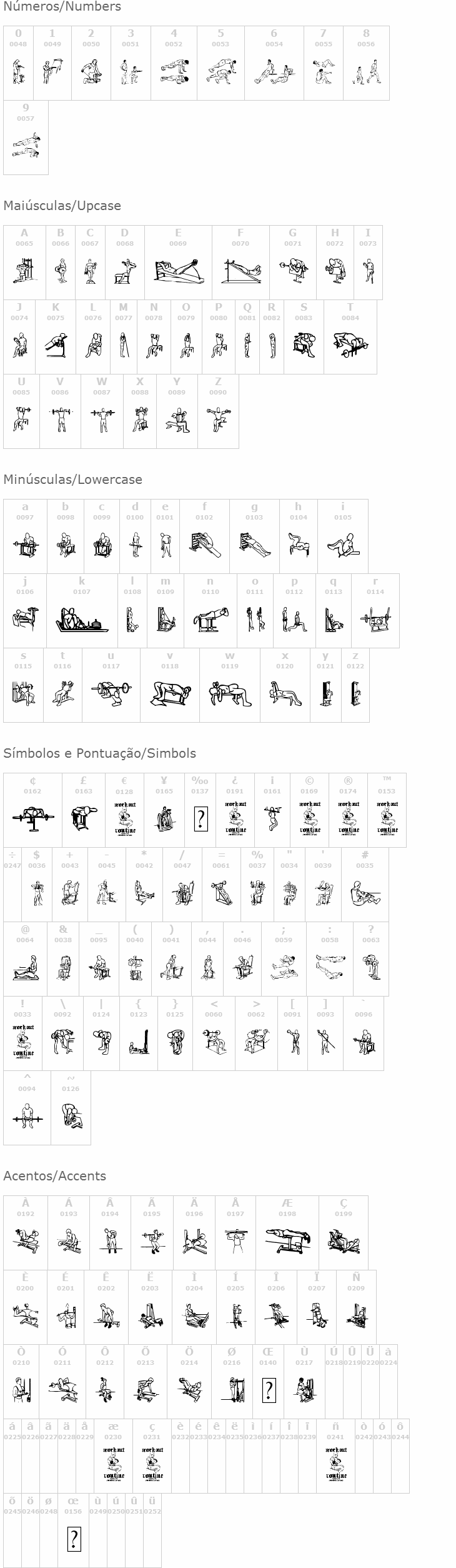 Workout Routine